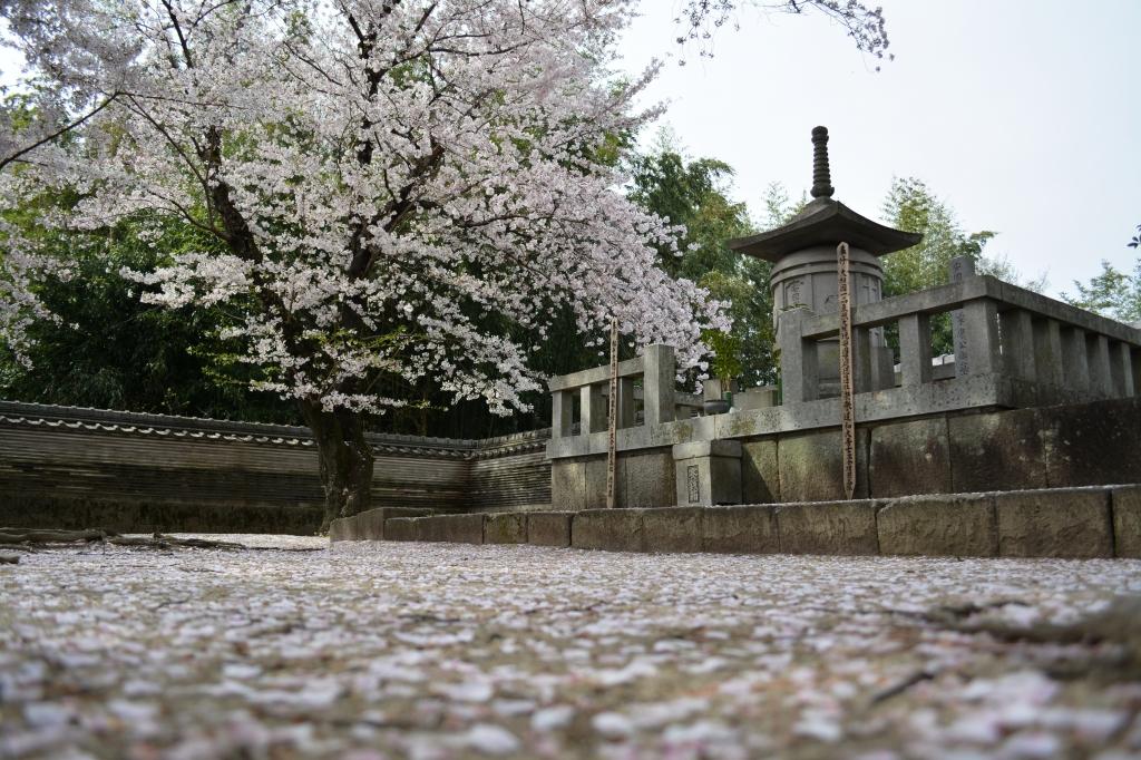 大樹寺