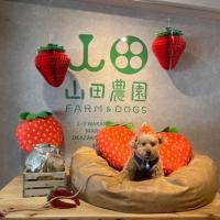 山田農園 FARM&DOGS