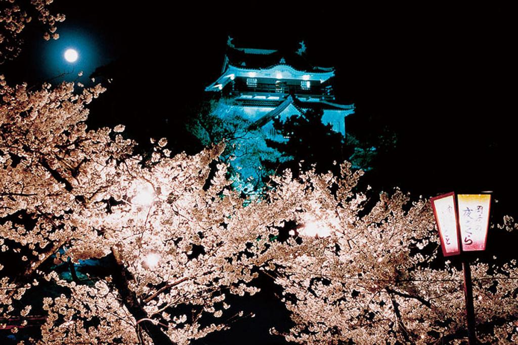 岡崎城・龍城神社