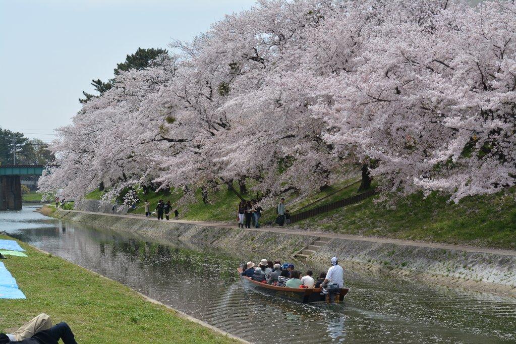 岡崎城下お花見舟あそび