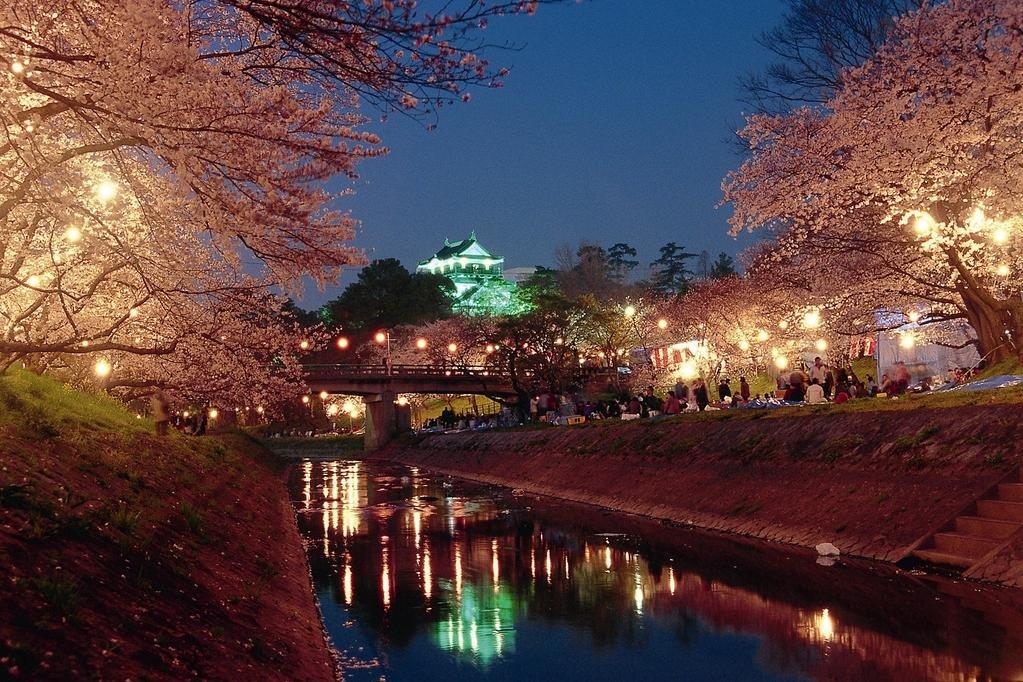 岡崎城下お花見舟あそび