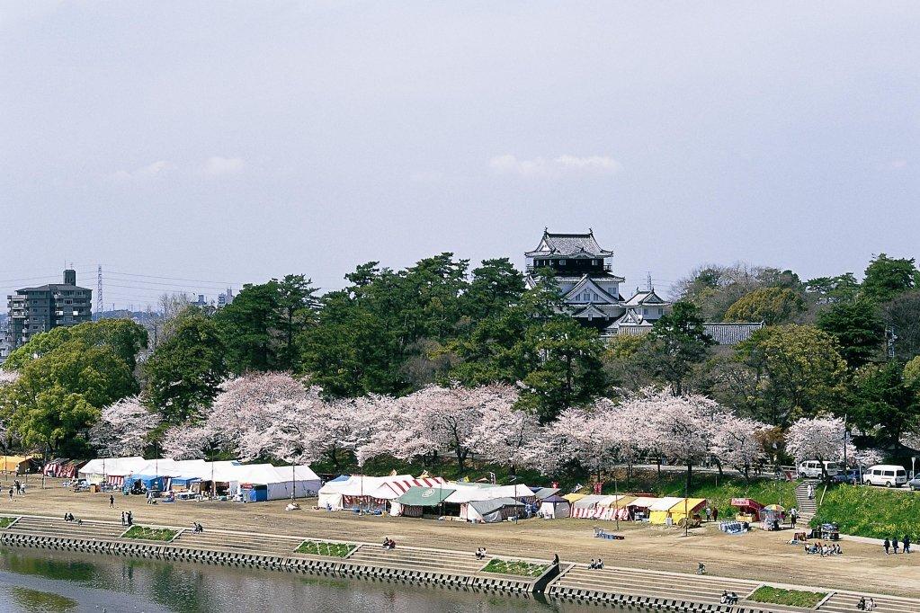岡崎城下お花見舟あそび