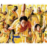 お試し体験スポット「岡崎中央総合公園」