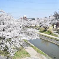 図書館交流プラザ・伊賀川