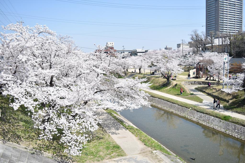 図書館交流プラザ・伊賀川