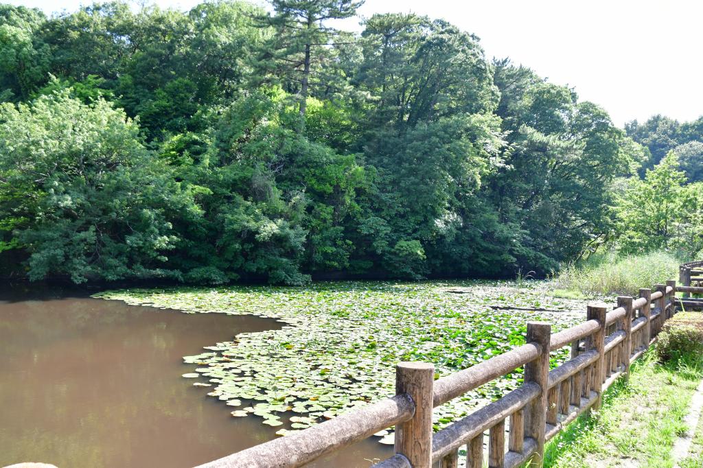ピースの二乗のあいつマンホール（竜美ヶ丘公園）