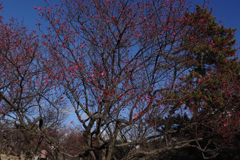 岩津天満宮