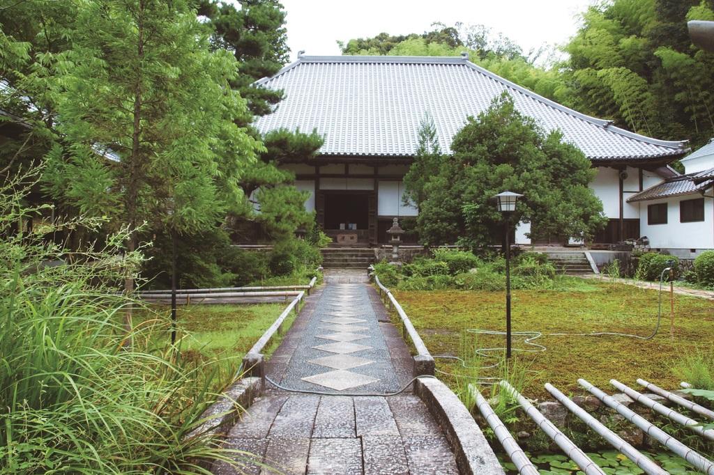 龍渓院・杉木立