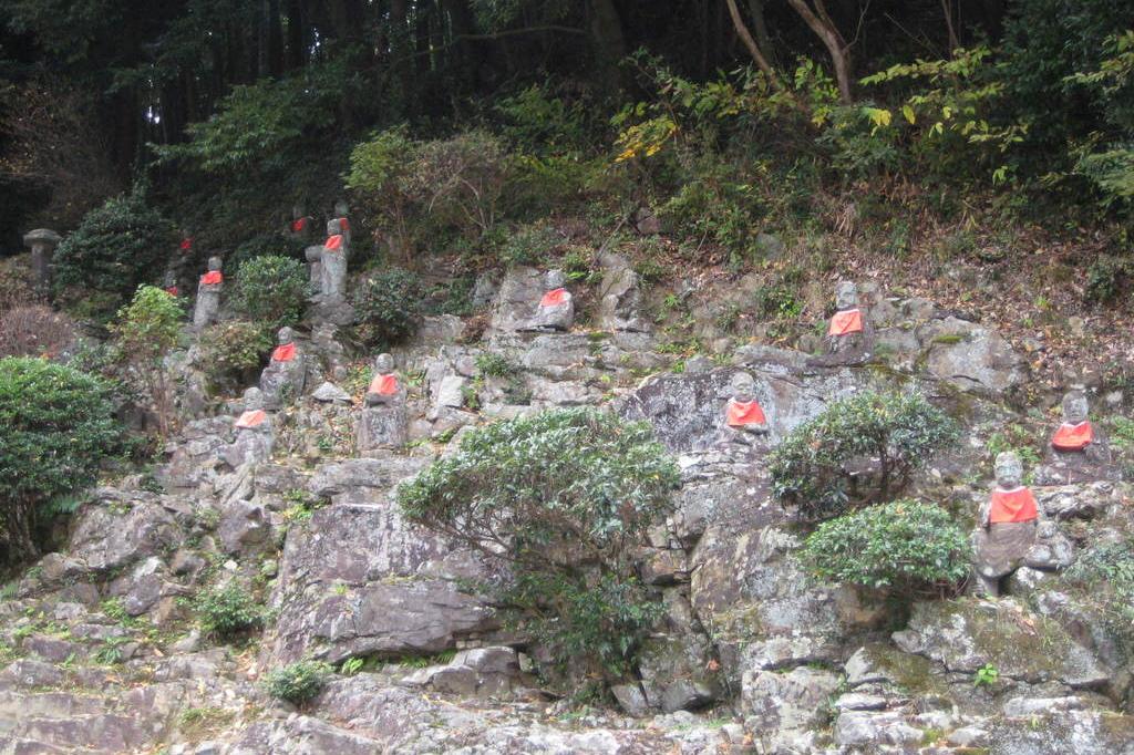 龍渓院・杉木立