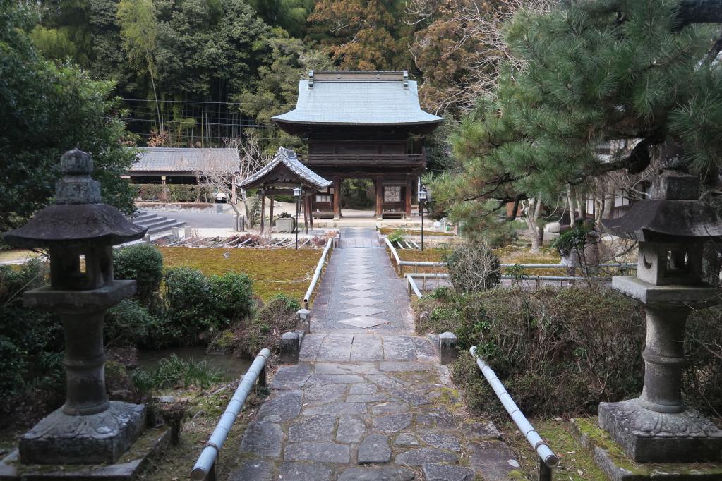 龍渓院・杉木立