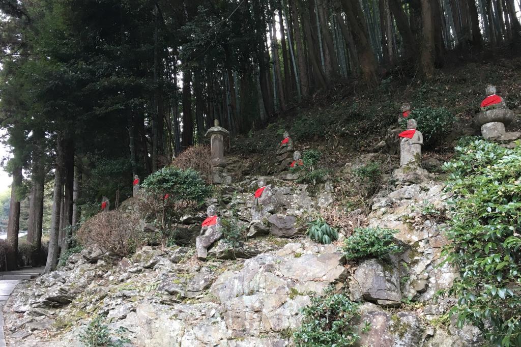 龍渓院・杉木立