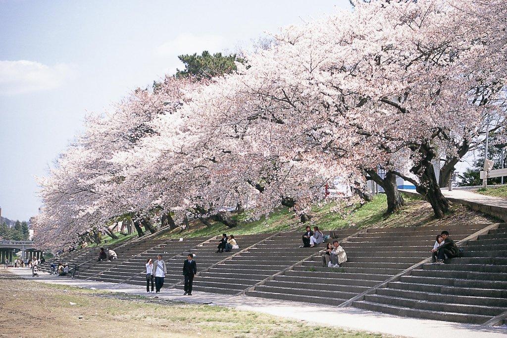 乙川左岸