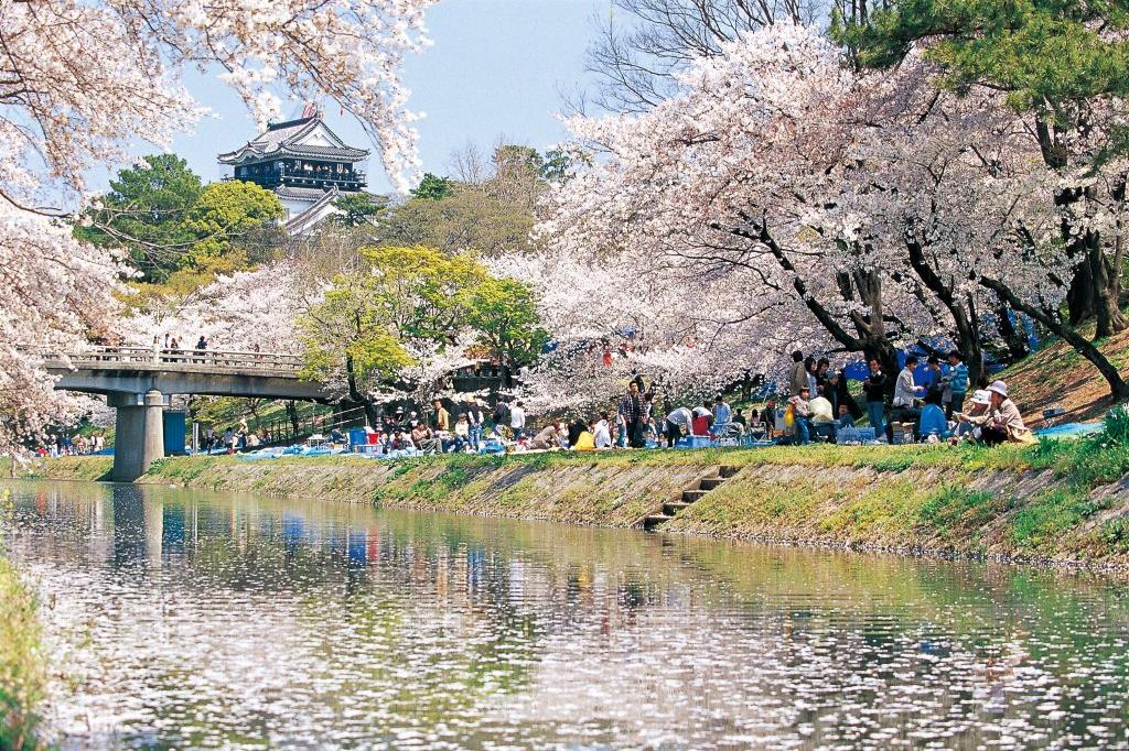 桜まつり