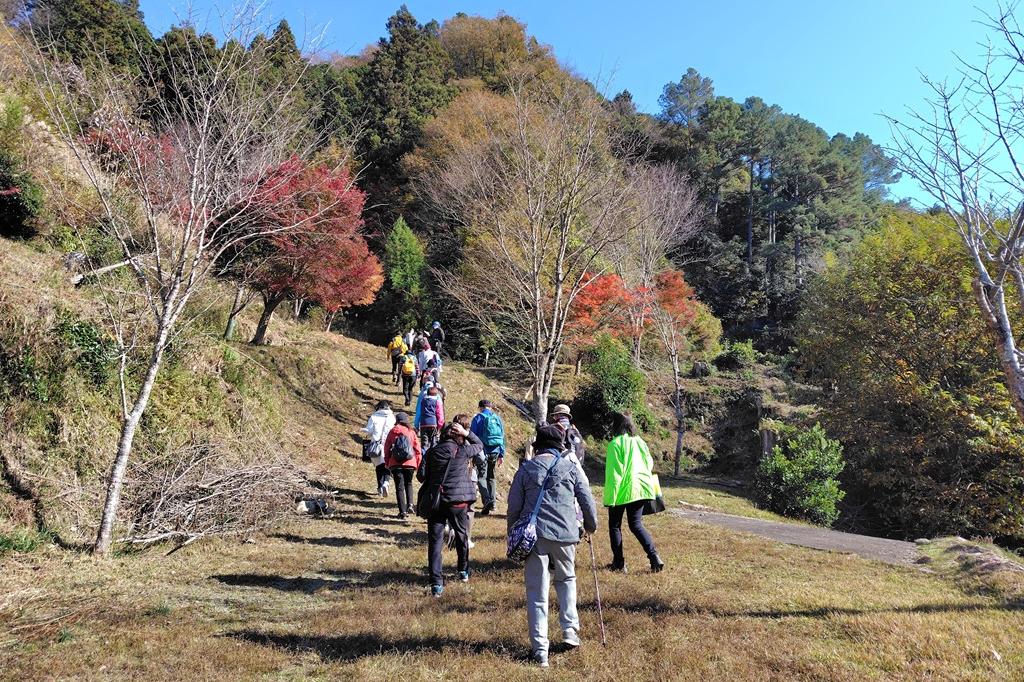 駐車場上の通路奥より上り始め。足元の不安な方は、杖のご利用をお勧めします。