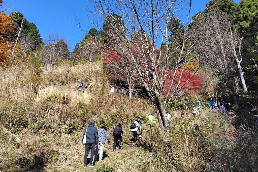 途中しばらく急坂で、滑りやすい草の道の登りが続きます。