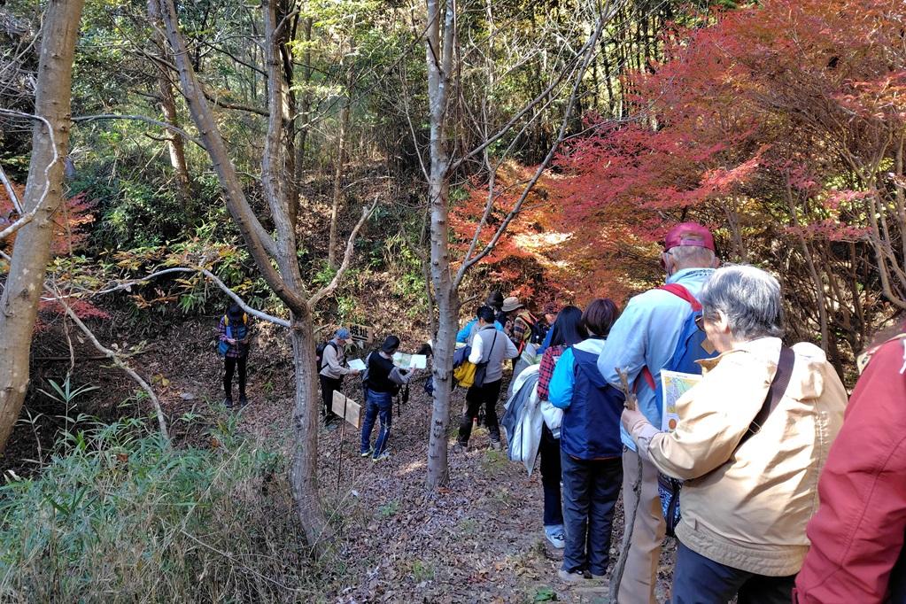 トイレを過ぎると3本の分岐あり。「城址」看板の矢印に従い、真ん中の急坂道を進みます。