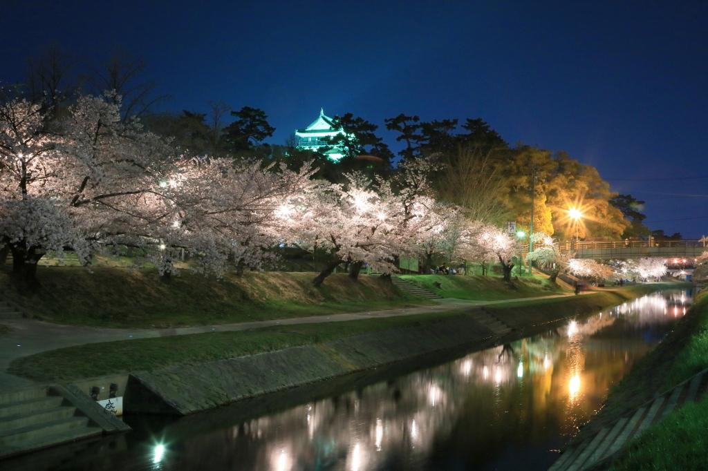 桜まつり 桜まつり 特集 岡崎おでかけナビ 岡崎市観光協会公式サイト