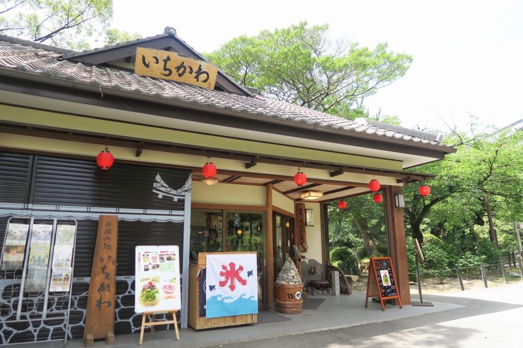 岡崎城公園を楽しんだ後は、いちかわさんへ！