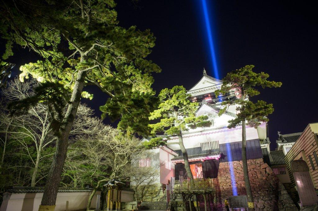 岡崎城のライトアップ