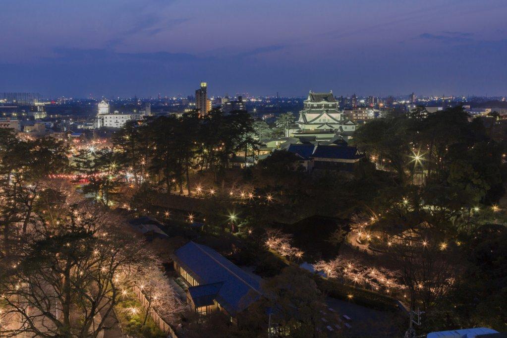 岡崎城公園夜桜