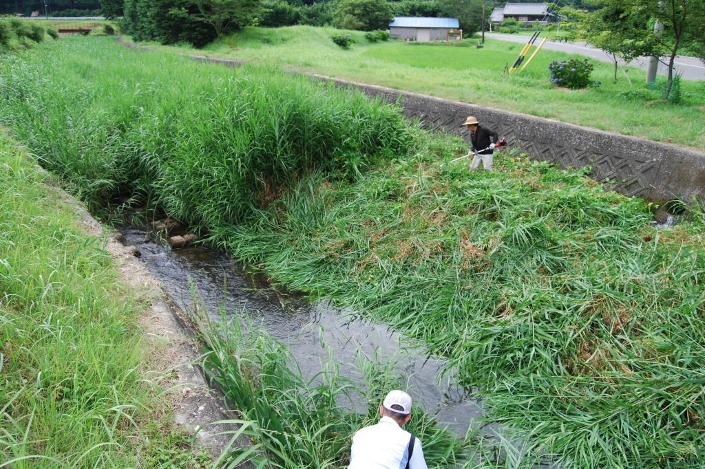 鳥川の草刈り