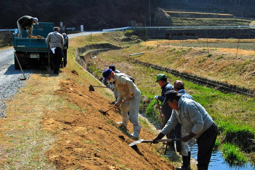 土手の手入れ