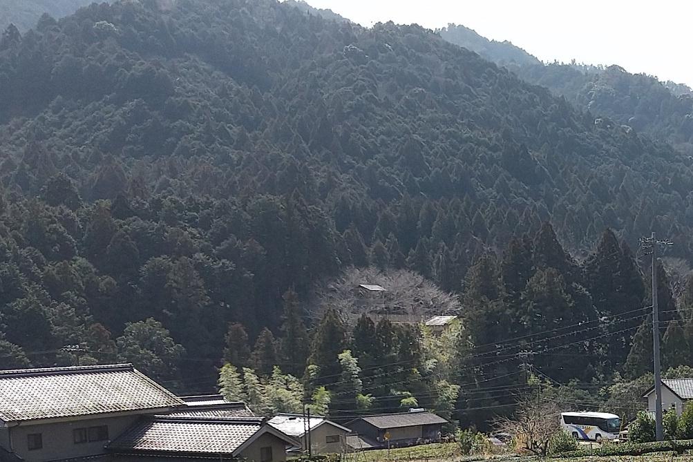 久保城址（遠景）