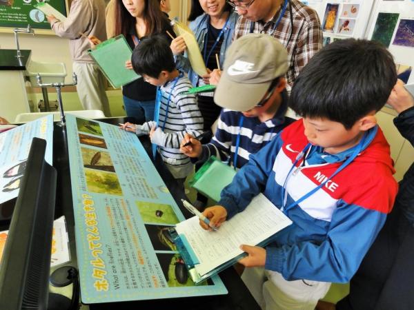 岡崎市ホタル学校トップ｜岡崎市ホタル学校｜特集｜鳥川ホタルの里｜水