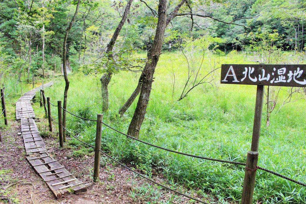 北山湿地