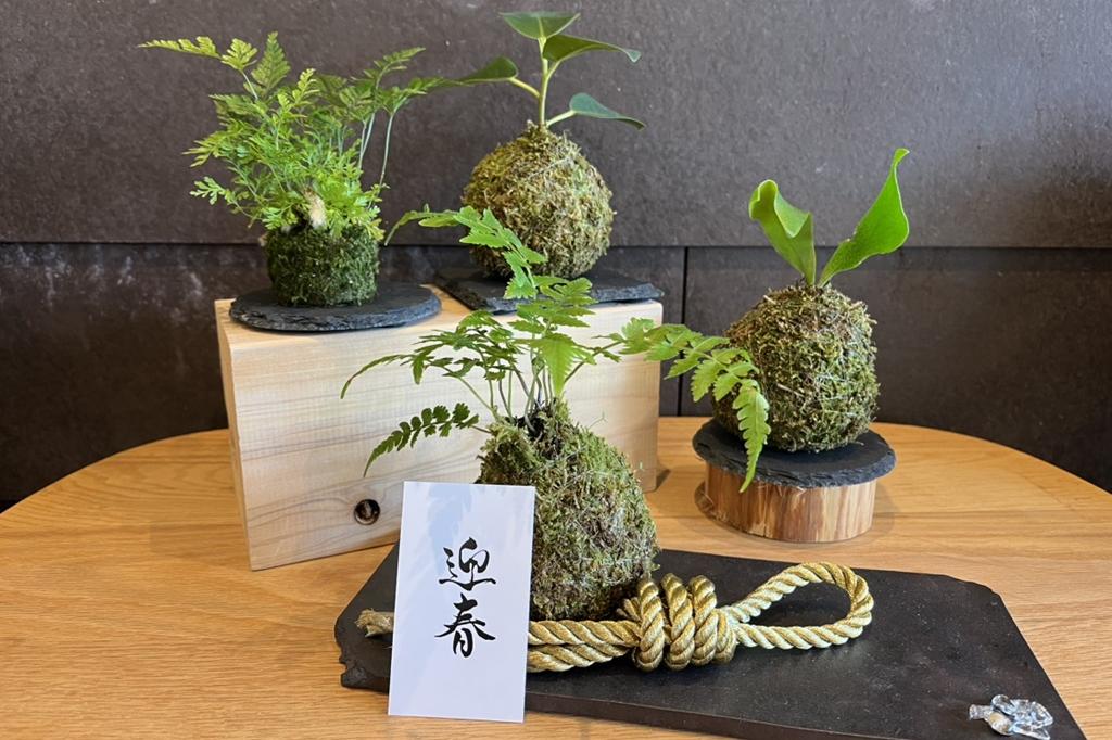 正月苔玉づくり