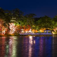 東公園紅葉ライトアップ（池全景）