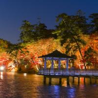 東公園紅葉ライトアップ（浮御堂）