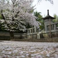大樹寺霊廟