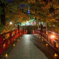 家康公生誕祭（神橋）