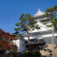岡崎城と紅葉