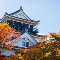 岡崎城と紅葉