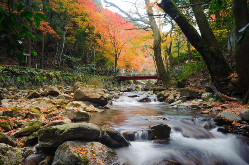 くらがり渓谷紅葉