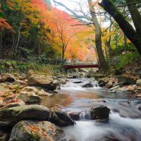くらがり渓谷紅葉