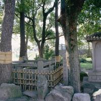 東照公産湯の井戸
